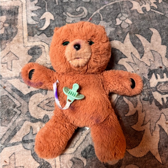 Cozy dozy little live pets bear - Picture 1 of 4